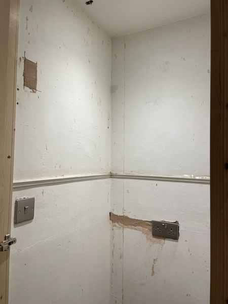 Extension Thread 2022....plaster, panic and pics