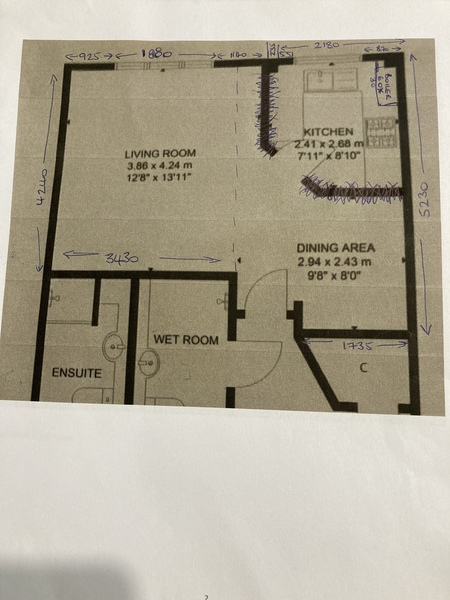 Kitchen Layout for DS first flat