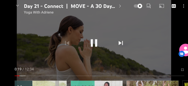 Adrienne 30 days of yoga- MOVE