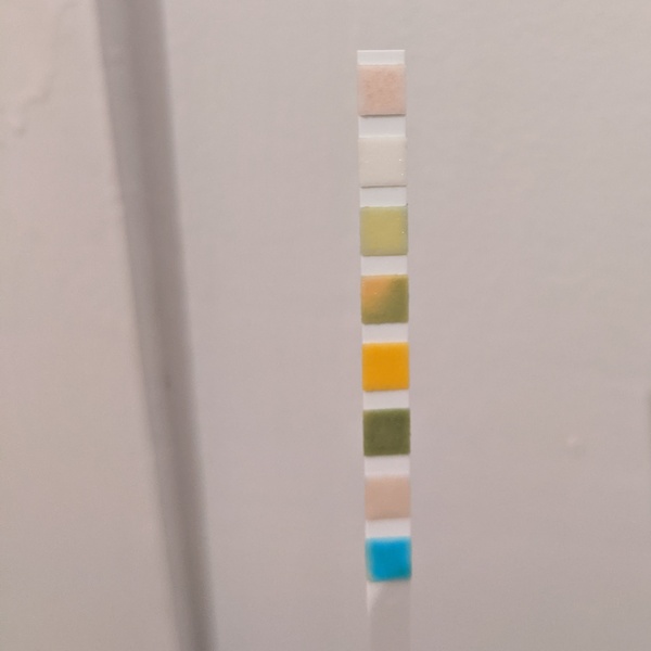 Any medics willing to tell me if I have a UTI? Pic of test strip attached!