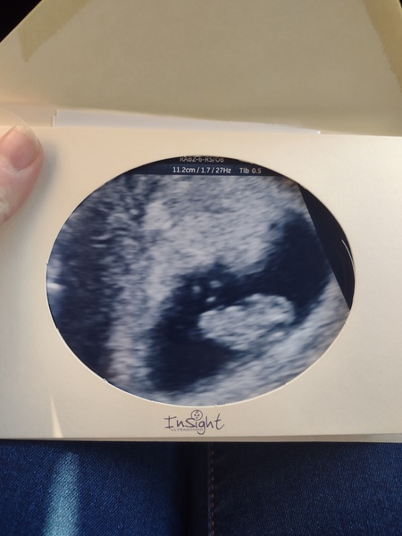 Due September 2022 - Thread #2