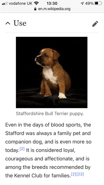 To think some dog breeds should never ever be around babies and children