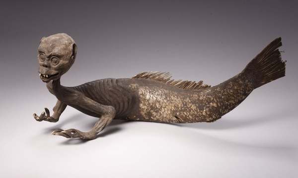 If born male you biologically stay male until you die? Yes?