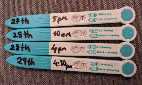 TTC with Letrozole/Clomid