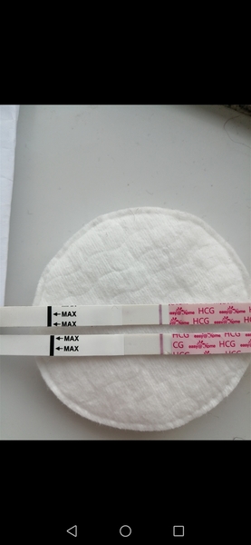8dpo test