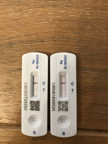 Two positive LFT’s this morning. How likely are they to be wrong?