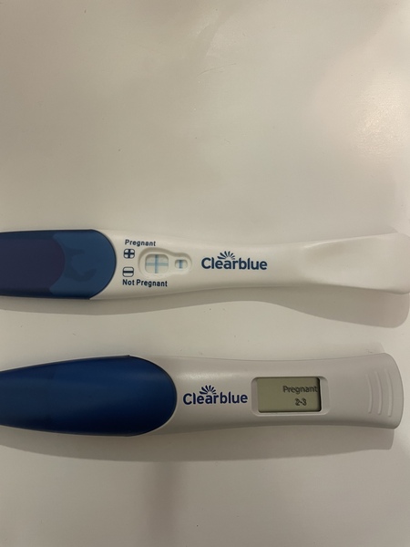 Due September 2022 - Thread #2