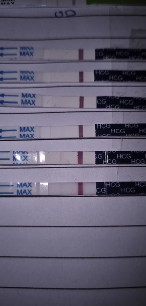 2WW. AF due 7/1