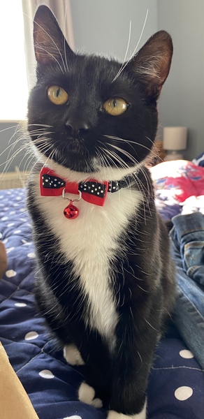 Beautiful pussies