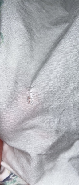 Stitch and bitch thread #3 Sewing is harder than it seams