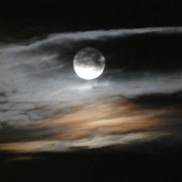 Any Witches Here? Part 16