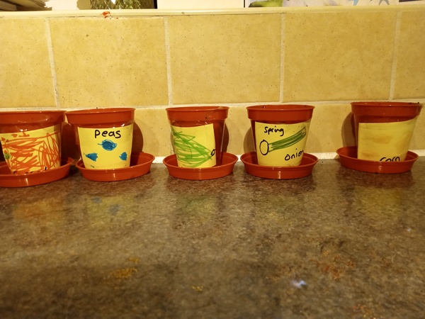 Trapped toddler parents: support through winter and beyond