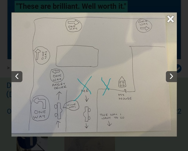 Driving the wrong way down a one way street? (Diagram)
