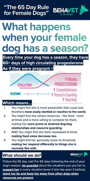 To think neutering might calm down my dog?