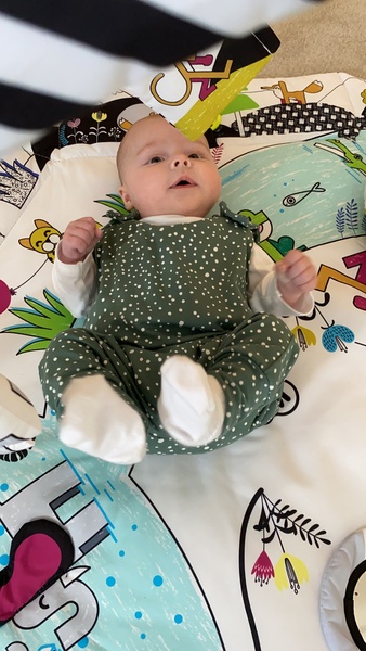 12 week scan gender