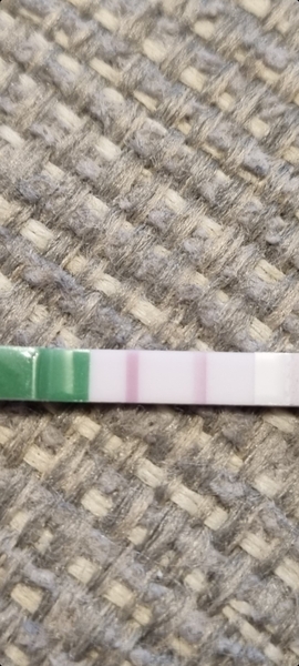 Can someone help me understand LH tests/Ovulation