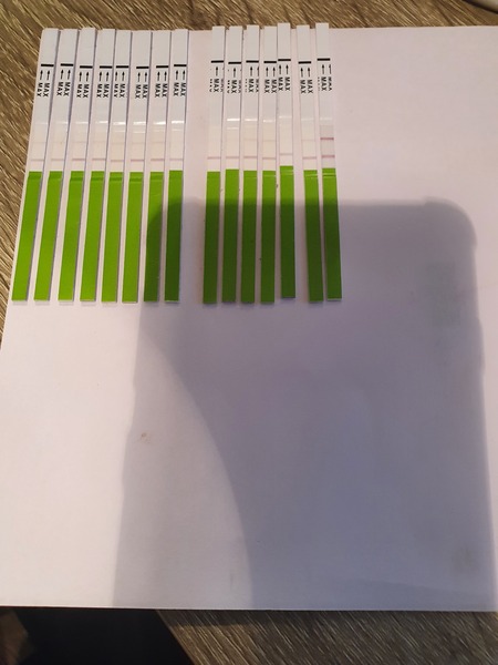 First timers, TTC. Safe space for brain dumps...