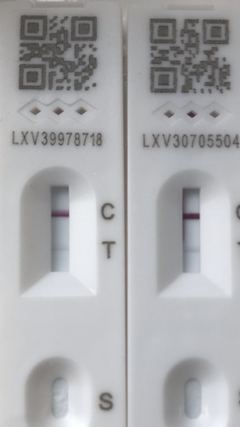 Would you class this as a negative LFT?