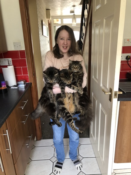 Ollie, Paws, friends and family