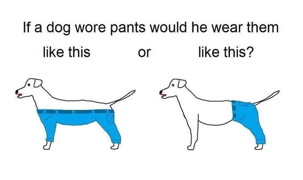 wont pay for damage to my jeans