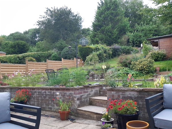 Show me your gardens for inspiration