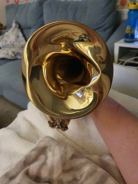 Should they pay to replace it?