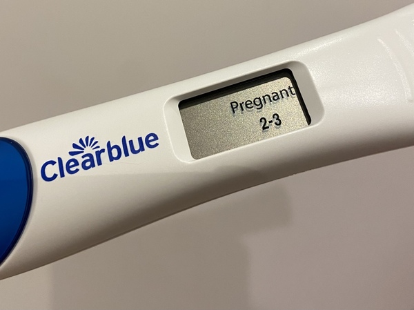 Due September 2022 - Thread #2