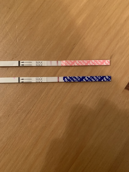 TTC with Letrozole/Clomid