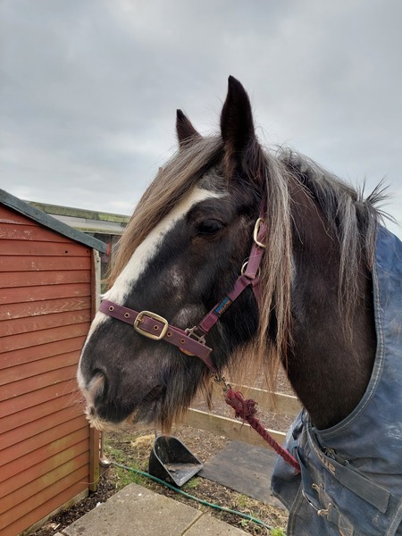 Welcome to 2022's first Low Carb Bootcamp!