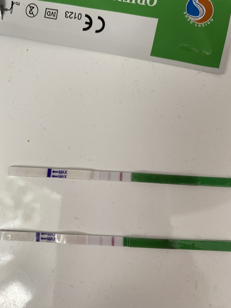 Ovulation