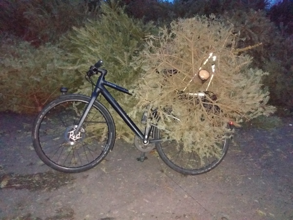 2022: Run, walk, cycle, swim, etc 1000 km/miles or whatever!