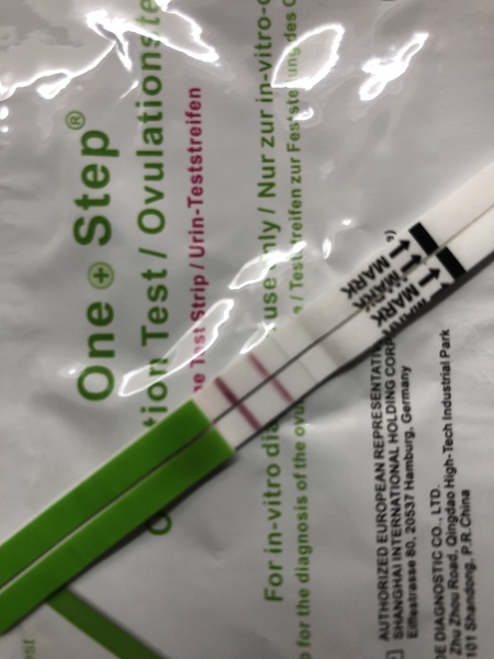 Fertility Appointments and Beyond.... the journey continues