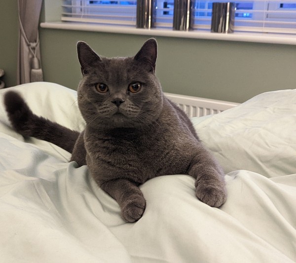 Due July/August (vol. 2)