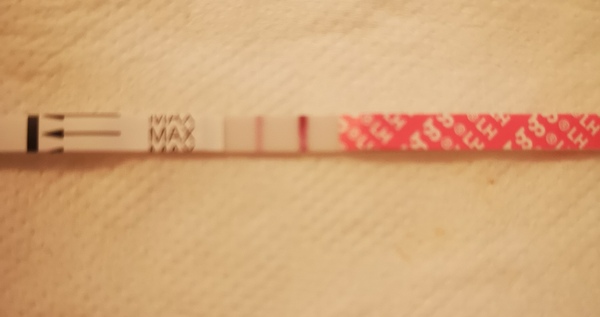 ✨ CD10 ttc after loss 🌈 who's with me for the new year?