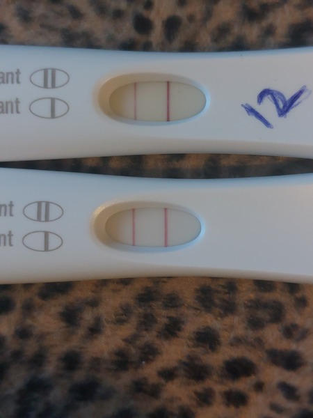 AF due today, pregnancy tests are progressing and I've had a bleed today.