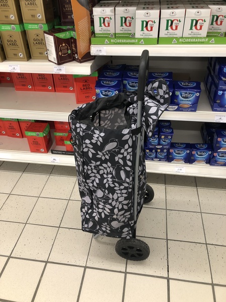 Aibu to be too embarrassed to get a shopping trolley.
