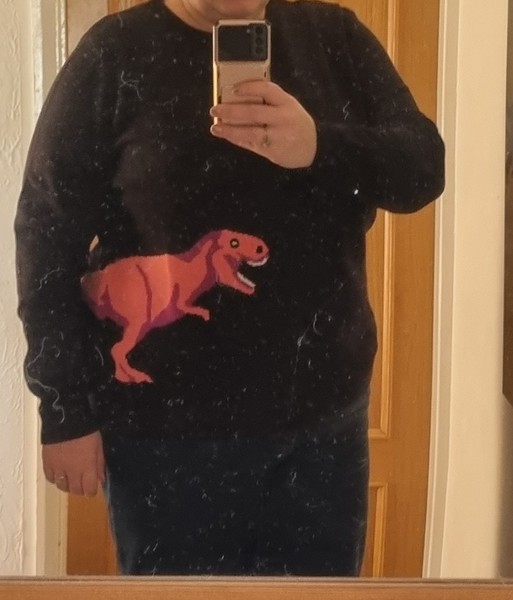 I think someone laughed at my dinosaur jumper