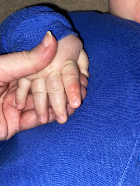 My 7mo has been screaming for hours