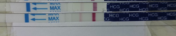 Does this one step look OK for 13dpo ?