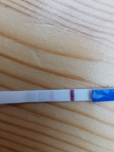 Is it real, or too light?