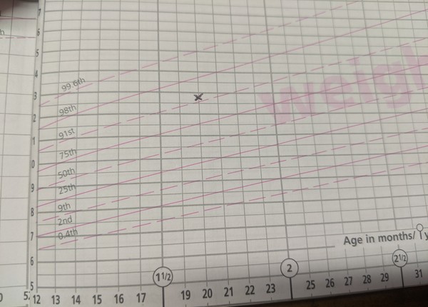 Can a toddler (under 2) be overweight?