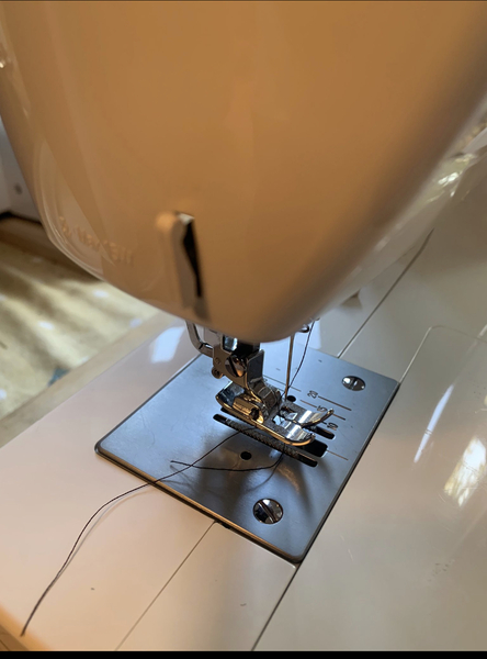 Stitch and bitch thread #4 I needle the help I can get.