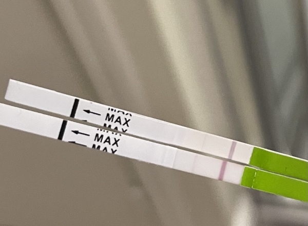 Ovulation testing!!!