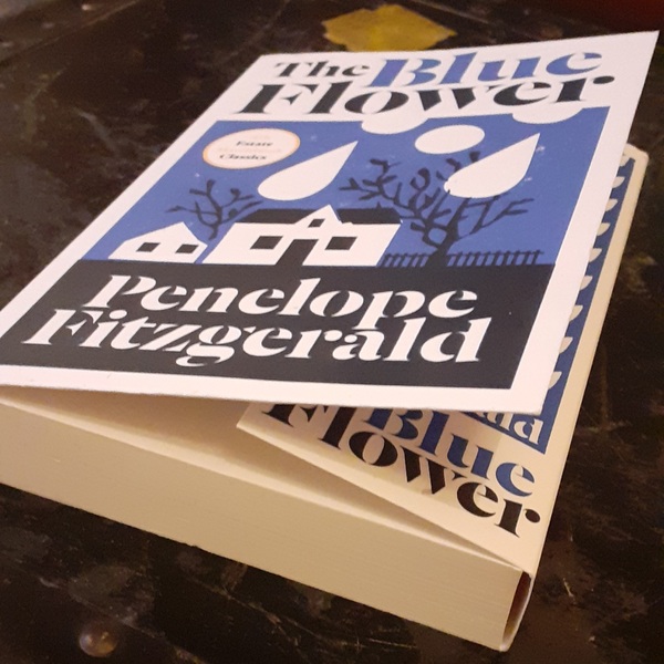 What are some beautiful paperbacks?