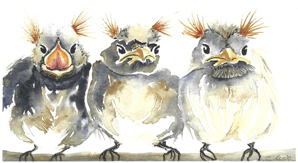 Request for constructive feedback on these watercolours please!