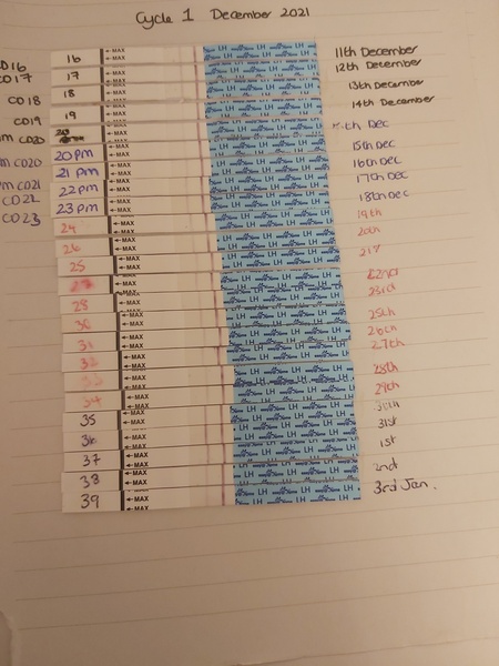 Is this my positive opk?