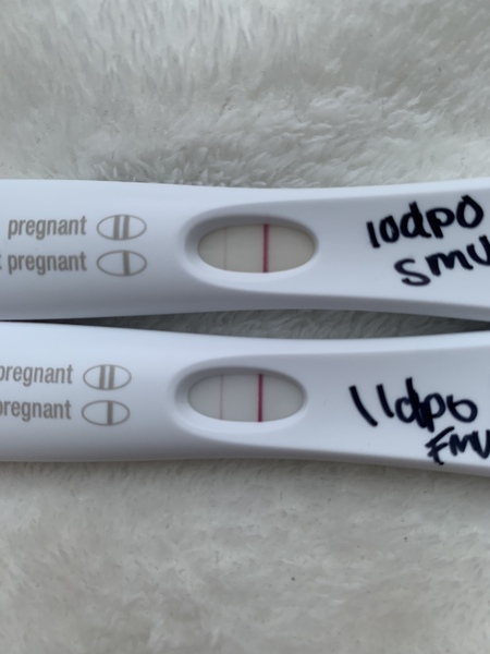 Ttc after miscarriage thread 2 ✨🌈🤞