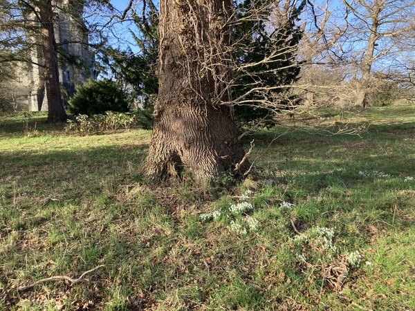 Nature Notes: the 2022 edition