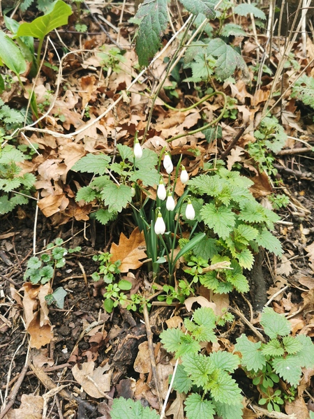 Any Witches Here? Part 16