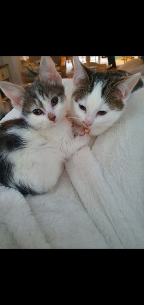Week 6 and still no names!